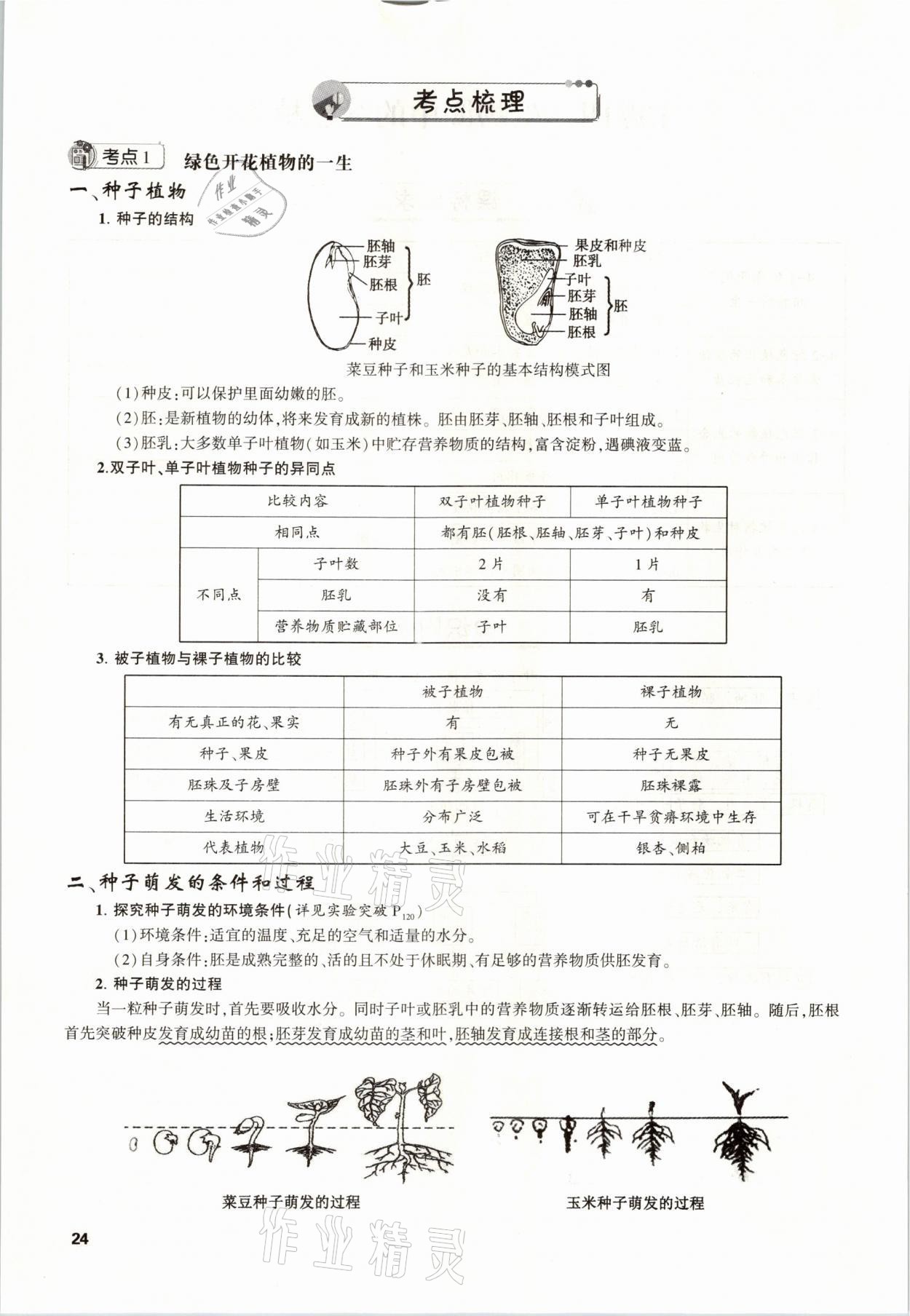 2021年聚焦中考生物福建專版 參考答案第24頁