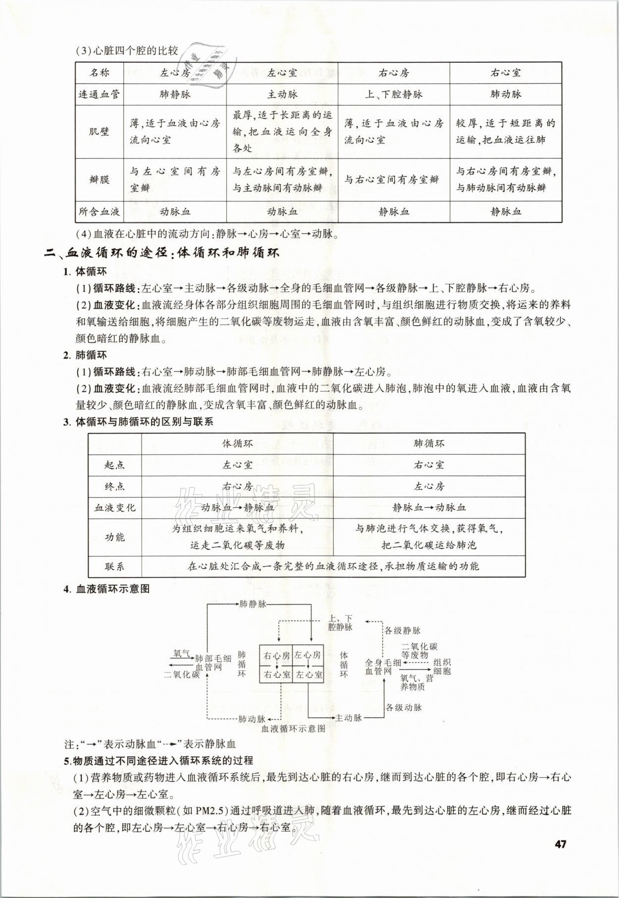 2021年聚焦中考生物福建專版 參考答案第47頁