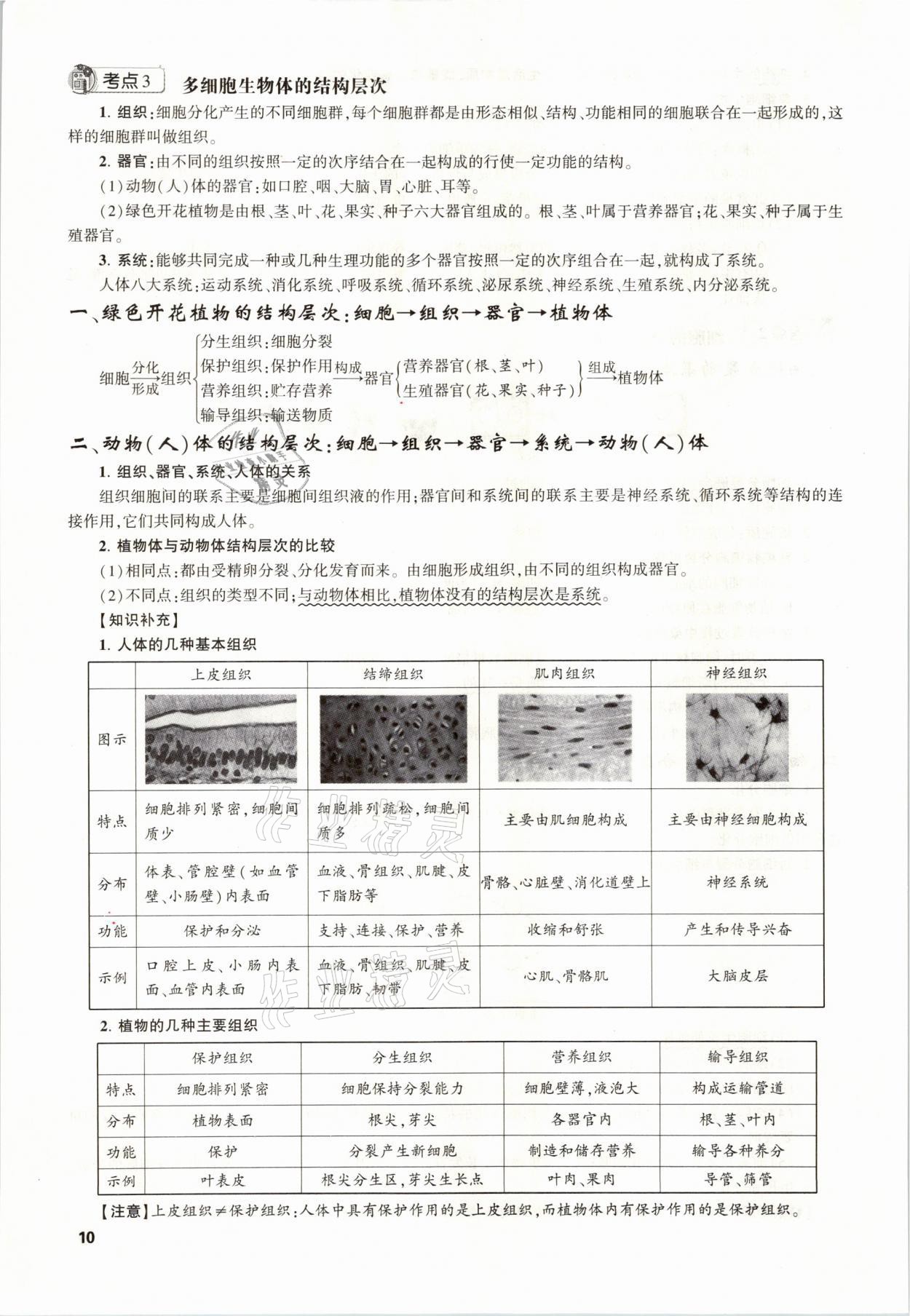 2021年聚焦中考生物福建專版 參考答案第10頁