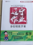 2021年遼寧作業(yè)分層培優(yōu)學(xué)案八年級數(shù)學(xué)下冊北師大版