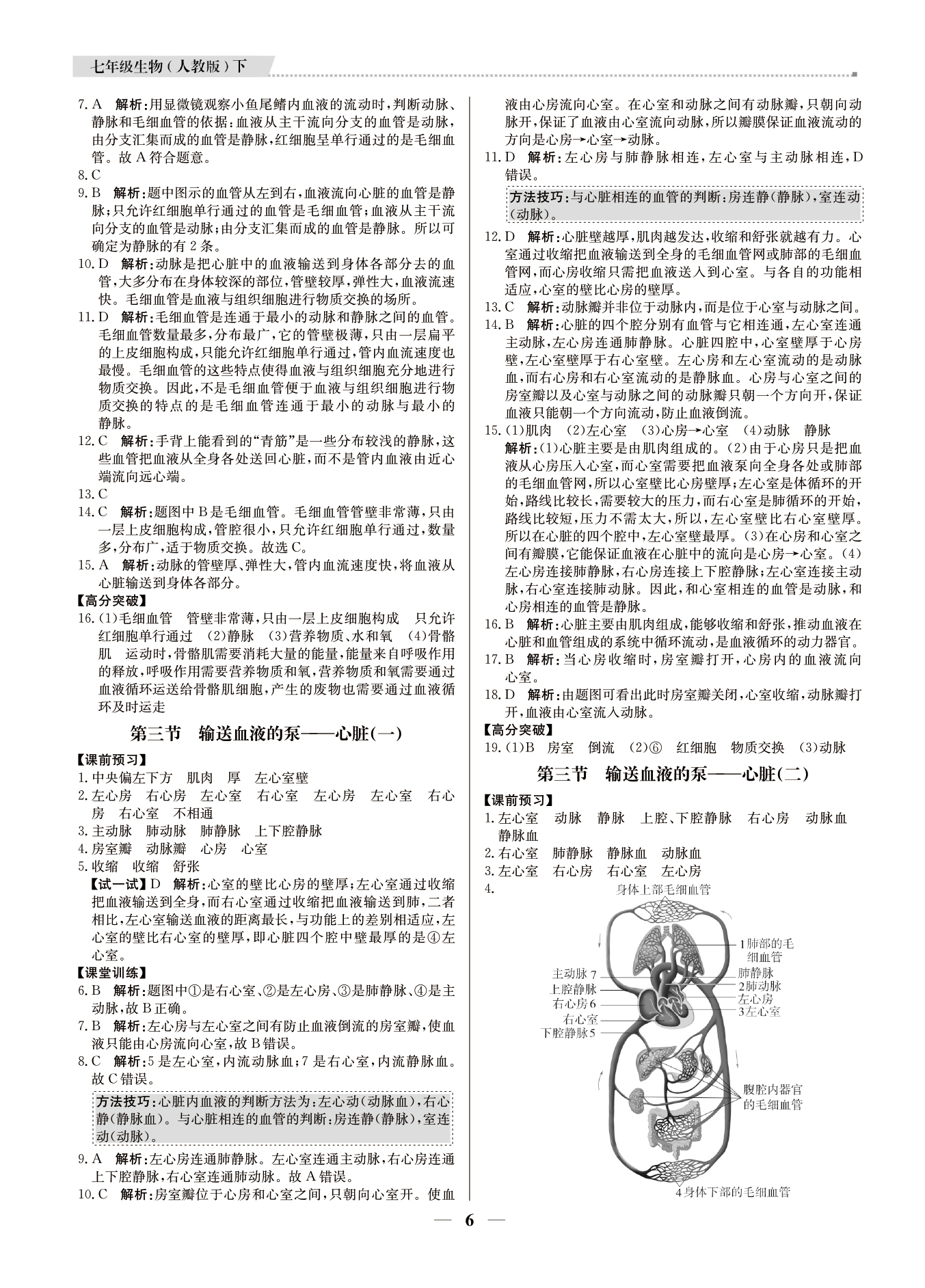 2021年提分教練七年級生物下冊人教版東莞專版 參考答案第6頁