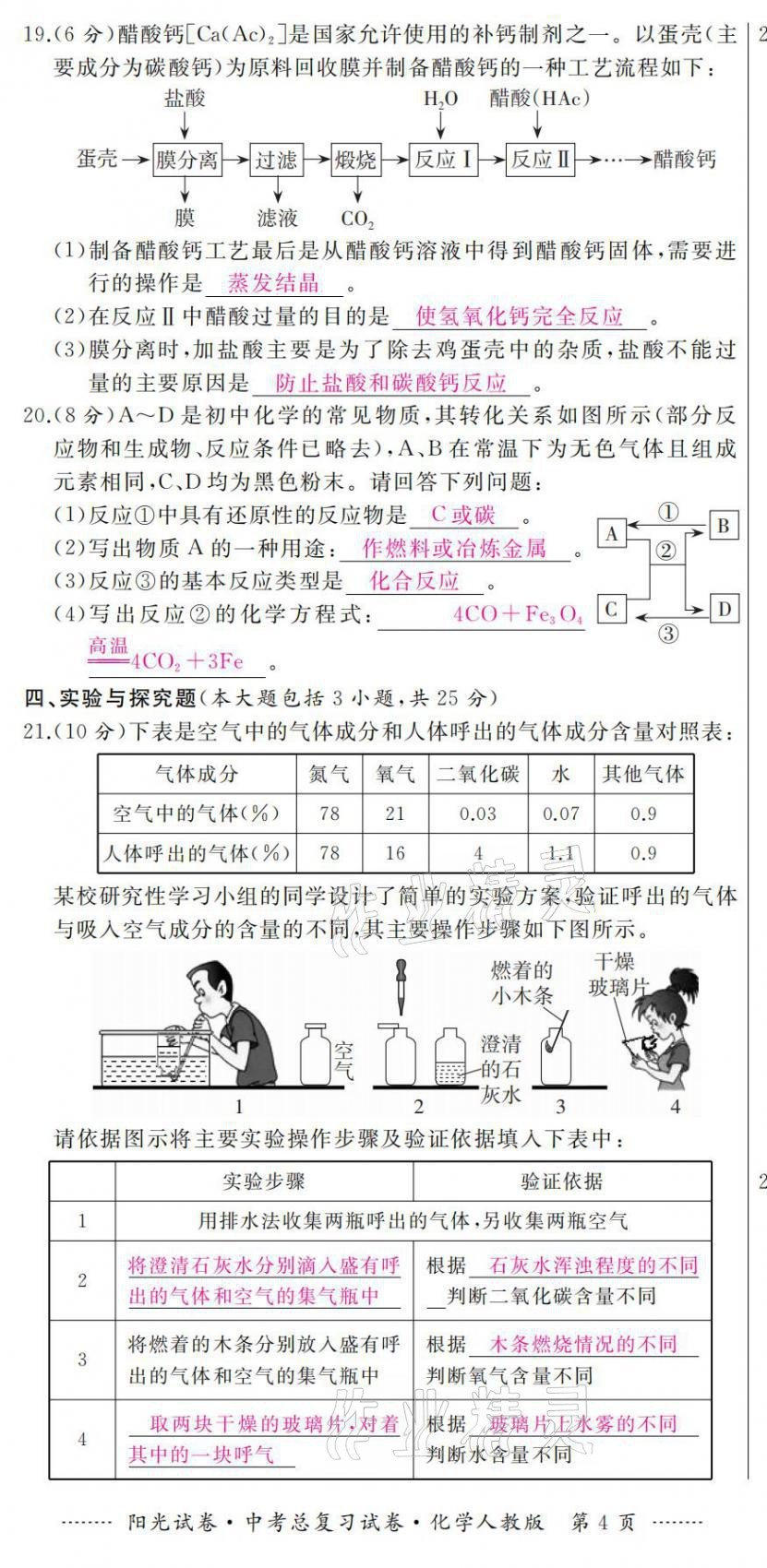 2021年阳光试卷中考总复习试卷化学人教版 第4页