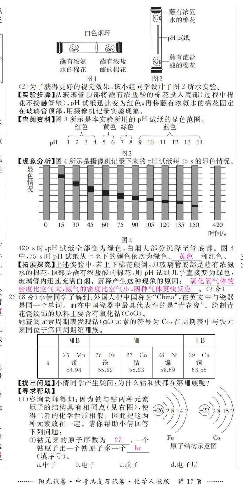 2021年阳光试卷中考总复习试卷化学人教版 第17页