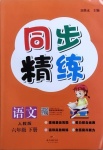 2021年同步精練六年級語文下冊人教版廣東人民出版社