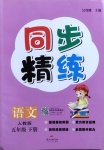 2021年同步精練五年級(jí)語(yǔ)文下冊(cè)人教版廣東人民出版社