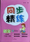 2021年同步精练二年级语文下册人教版广东人民出版社