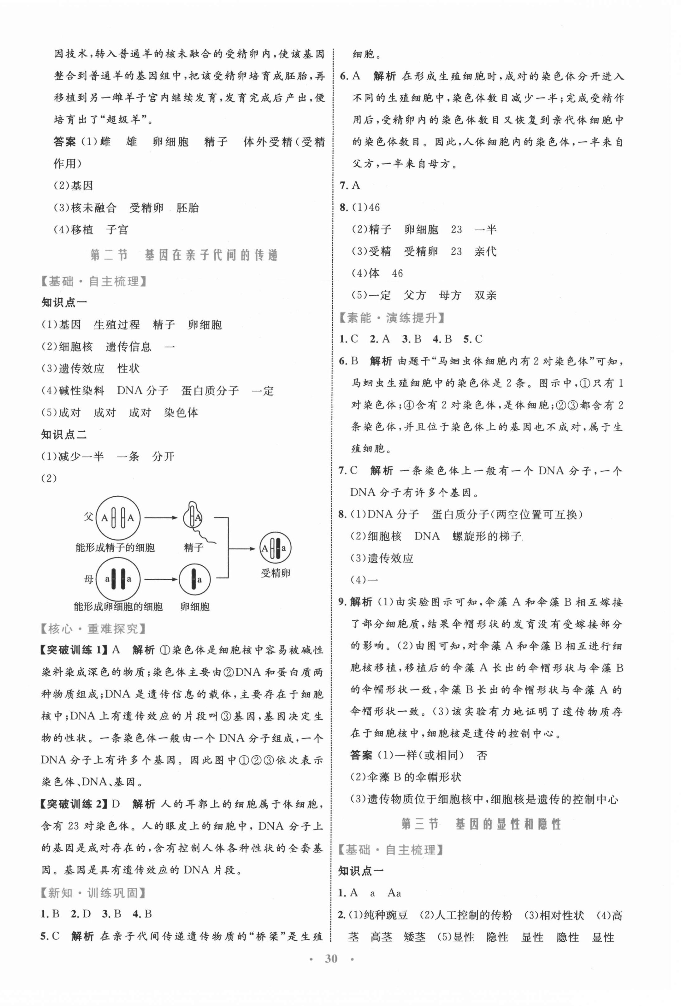 2021年同步學(xué)習(xí)目標(biāo)與檢測(cè)八年級(jí)生物學(xué)下冊(cè)人教版 第6頁