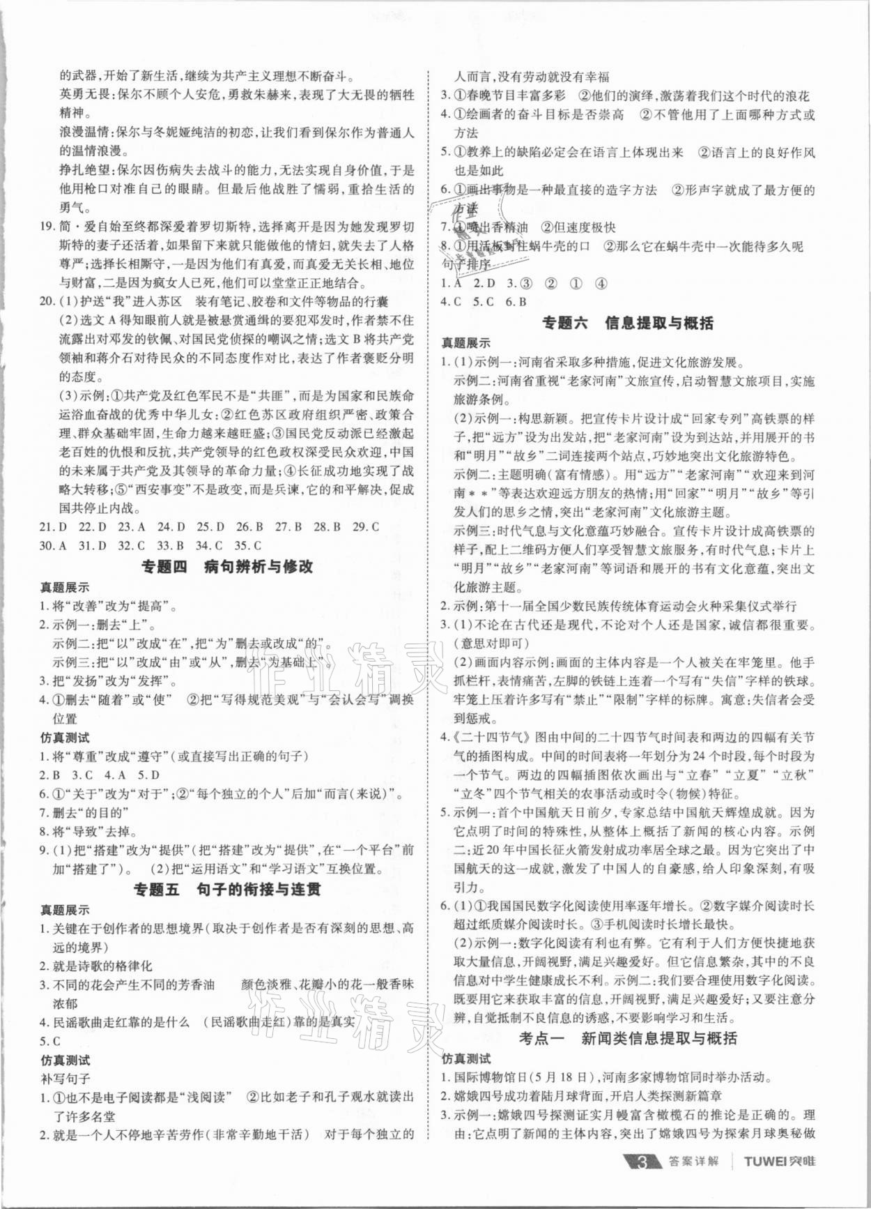 2021年河南中考總復(fù)習(xí)語文 第3頁