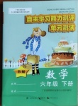 2021年自主學習能力測評單元測試六年級數學下冊B版