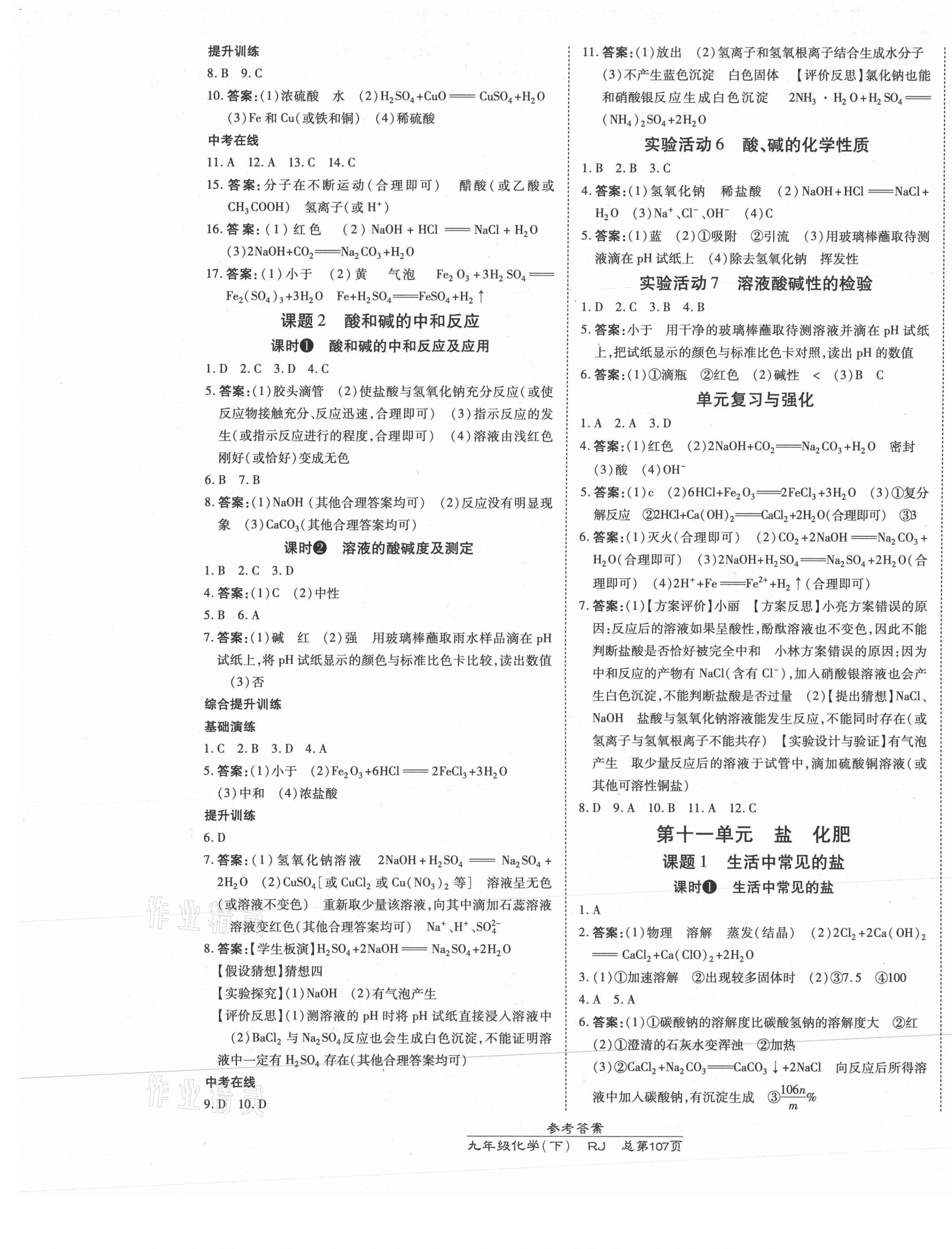 2021年高效課時通10分鐘掌控課堂九年級化學(xué)下冊人教版 第5頁