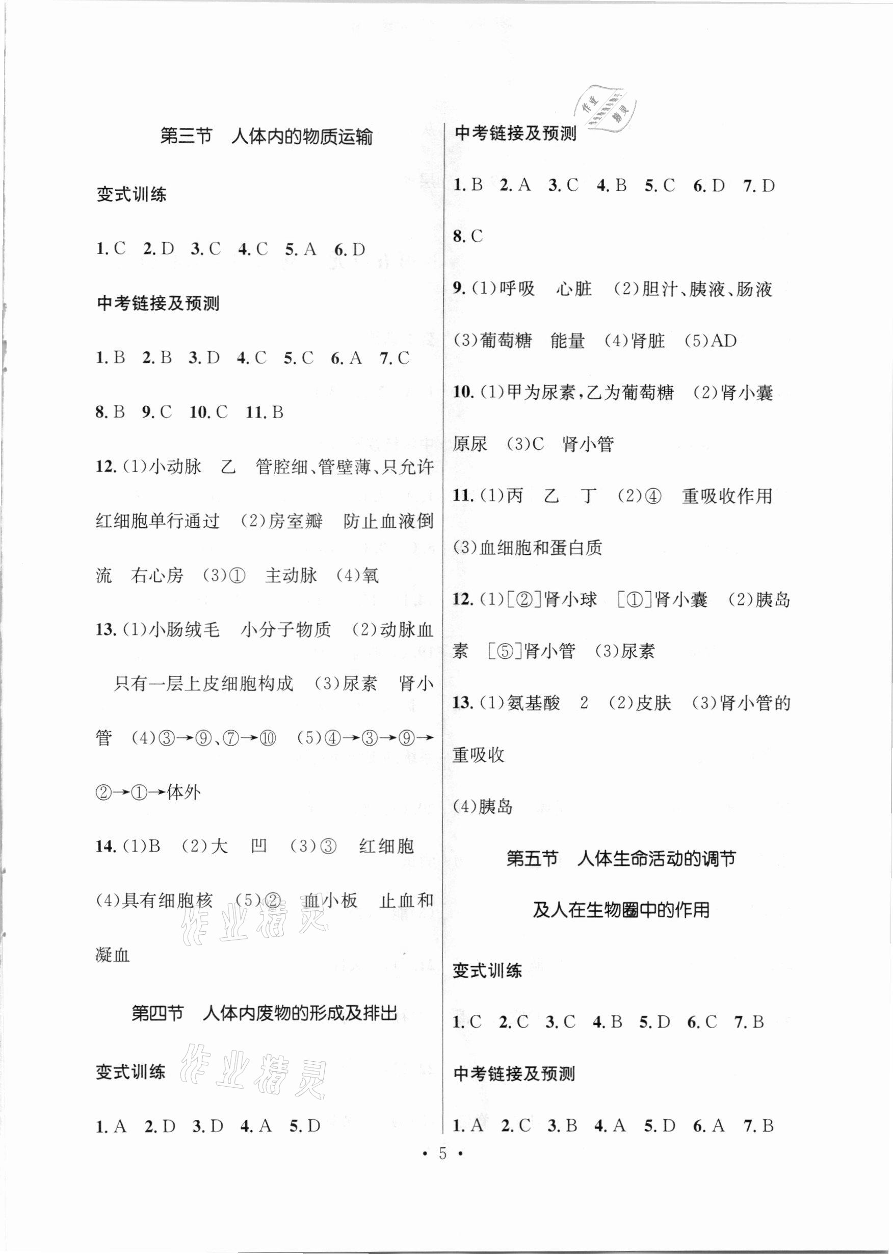 2021年云南省初中學(xué)業(yè)水平考試總復(fù)習(xí)及測(cè)試生物 參考答案第5頁