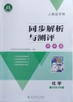 2021年人教金學典同步解析與測評學考練九年級化學下冊人教版新疆專用