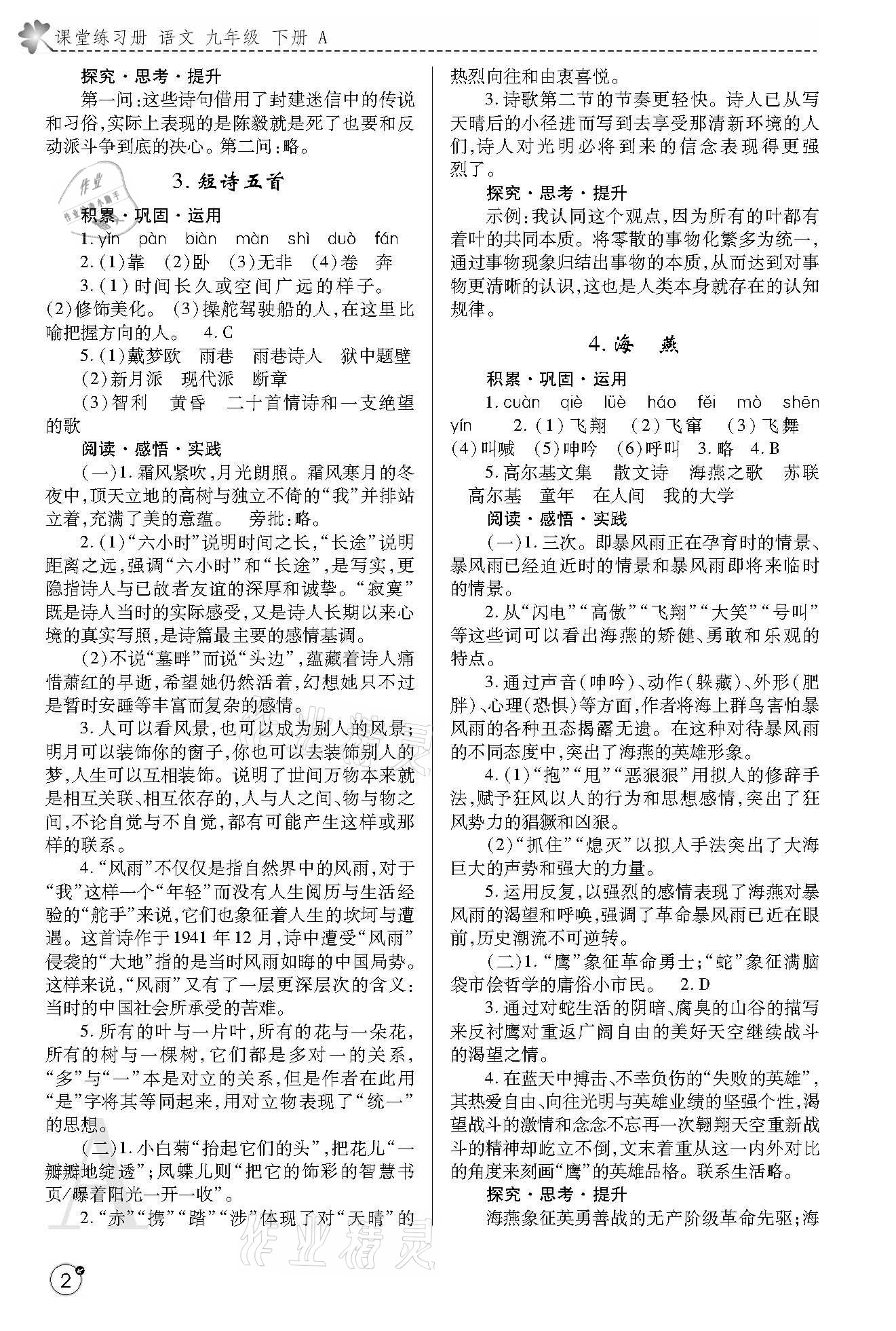 2021年课堂练习册九年级语文下册人教版A版 参考答案第2页