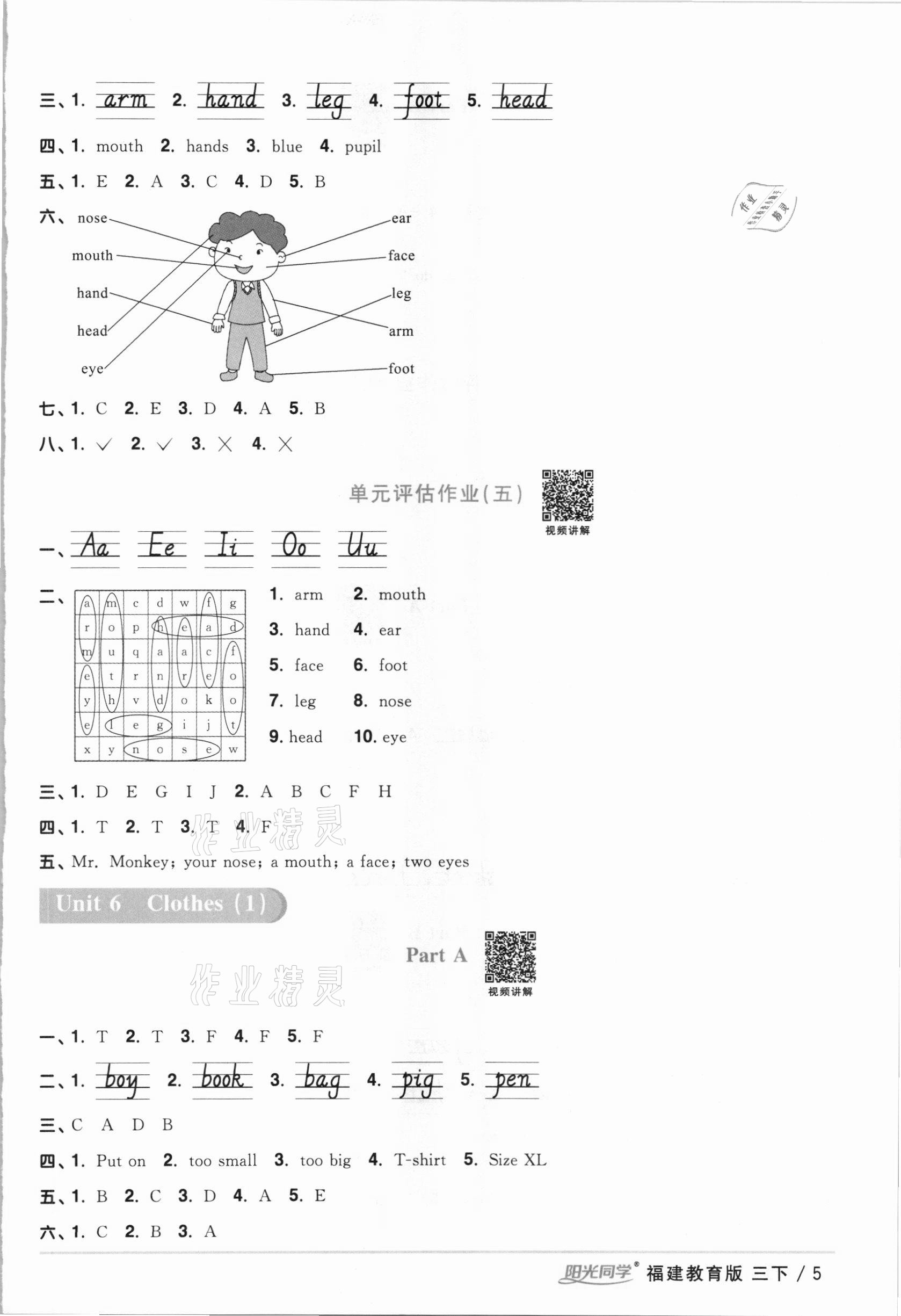 2021年陽光同學(xué)課時優(yōu)化作業(yè)三年級英語下冊福建教育版 第5頁