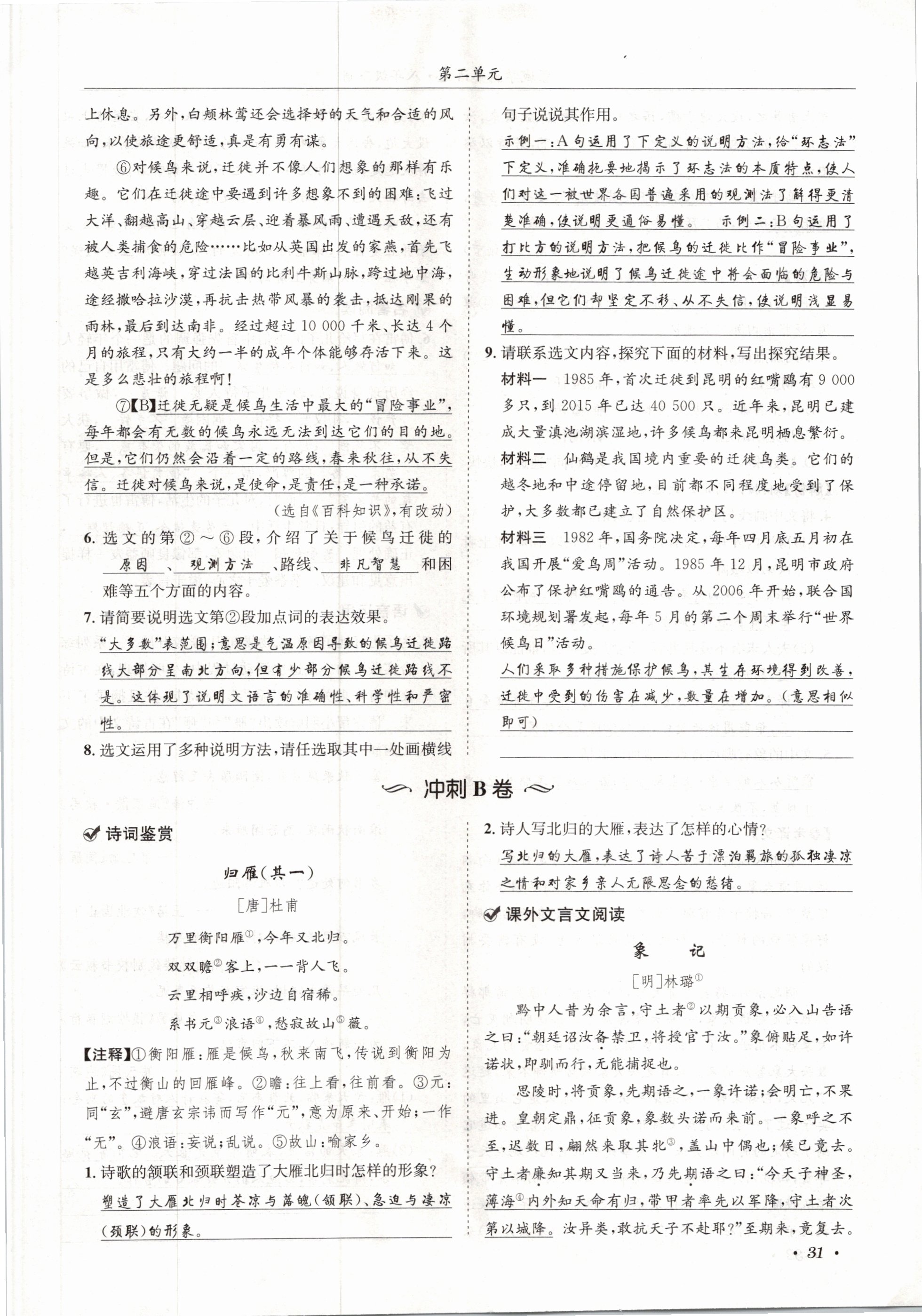 2021年蓉城學(xué)霸八年級(jí)語(yǔ)文下冊(cè)人教版 第31頁(yè)