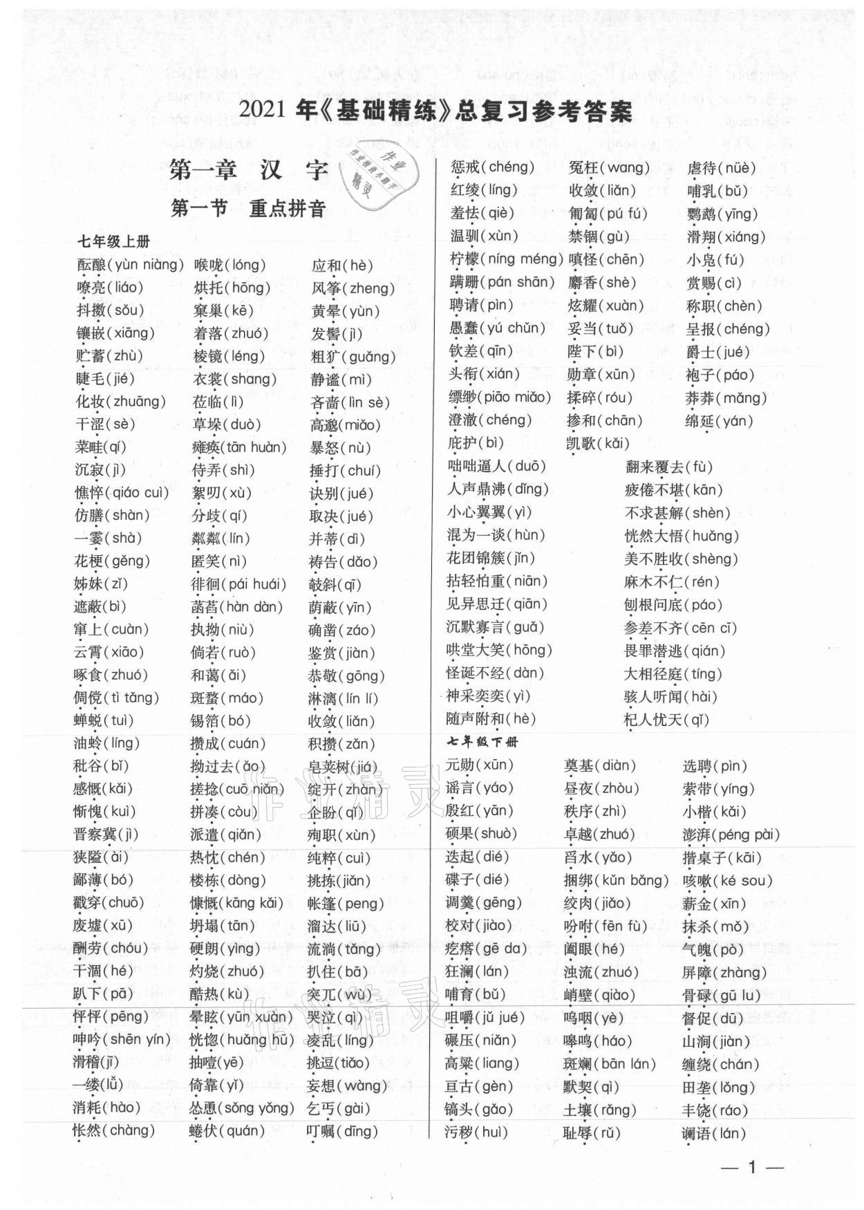 2021年基礎(chǔ)精練考點(diǎn)集訓(xùn)總復(fù)習(xí)語文深圳專版 第1頁