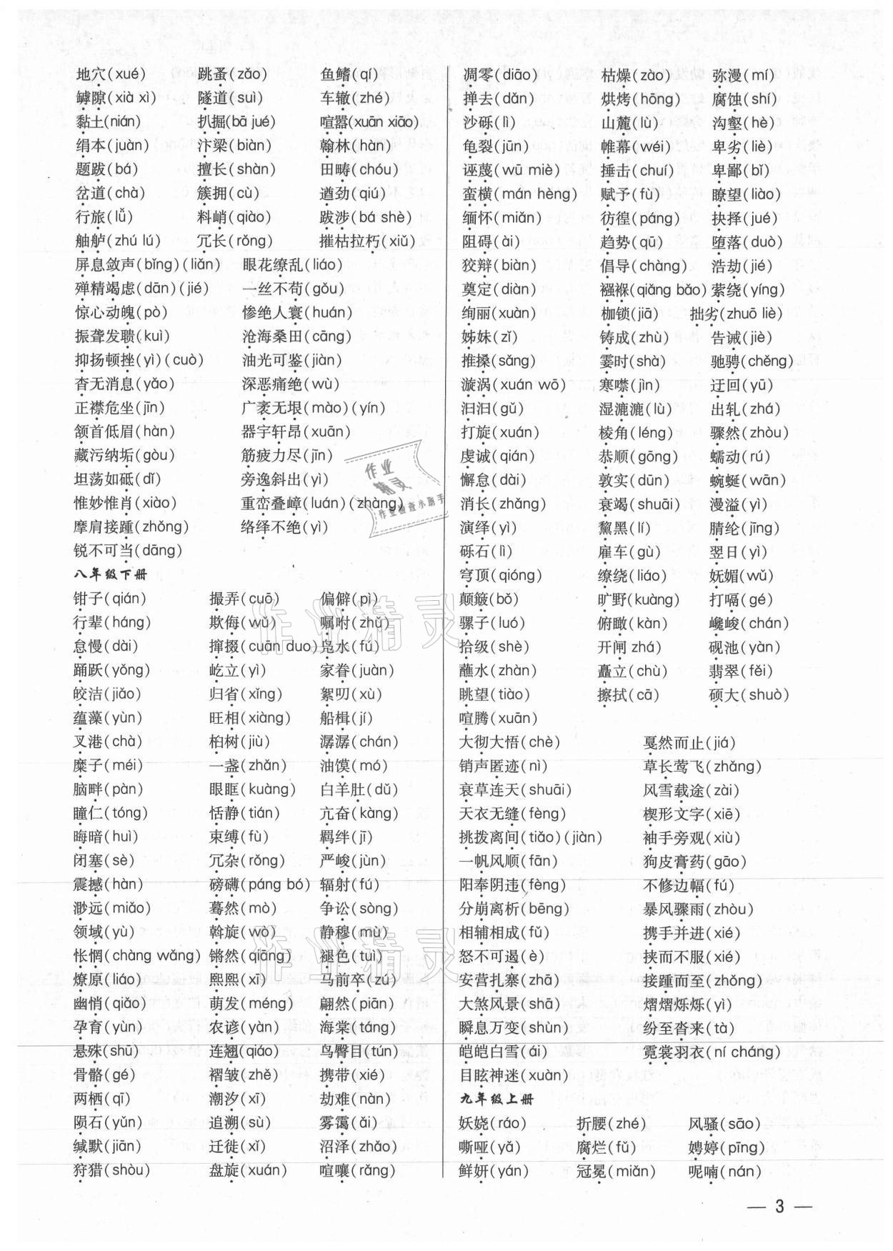 2021年基礎(chǔ)精練考點(diǎn)集訓(xùn)總復(fù)習(xí)語文深圳專版 第3頁