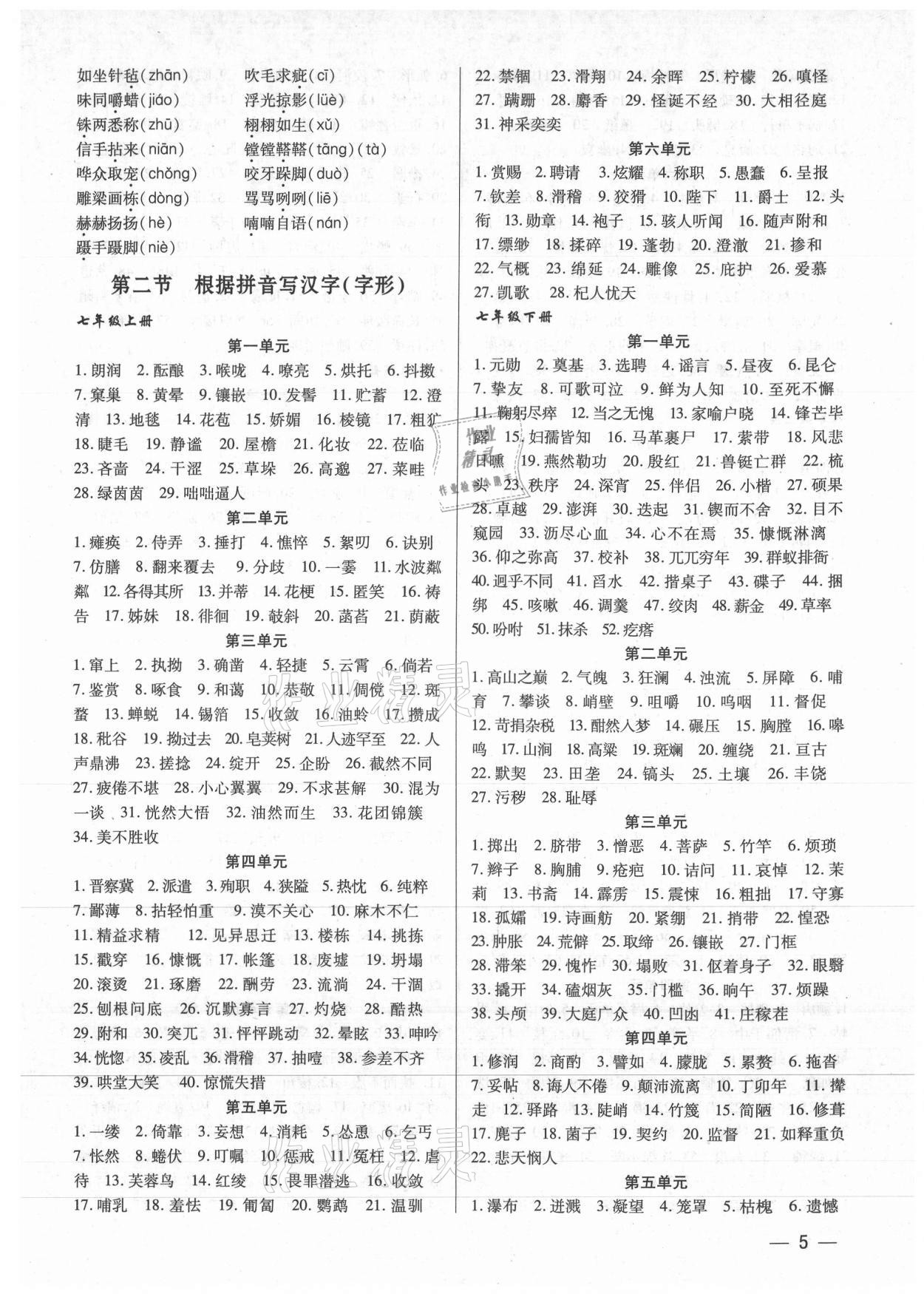 2021年基礎(chǔ)精練考點集訓(xùn)總復(fù)習(xí)語文深圳專版 第5頁