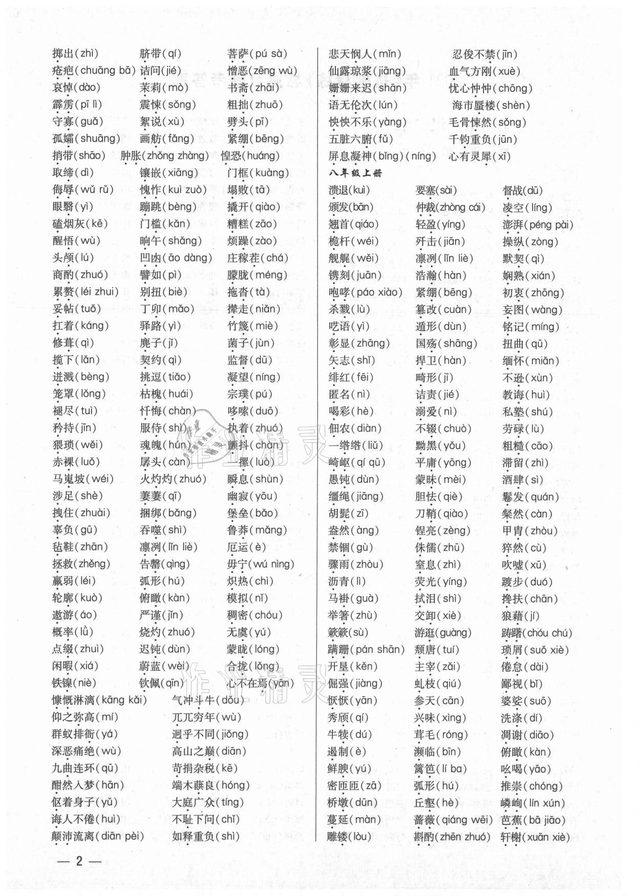 2021年基礎(chǔ)精練考點集訓(xùn)總復(fù)習(xí)語文深圳專版 第2頁