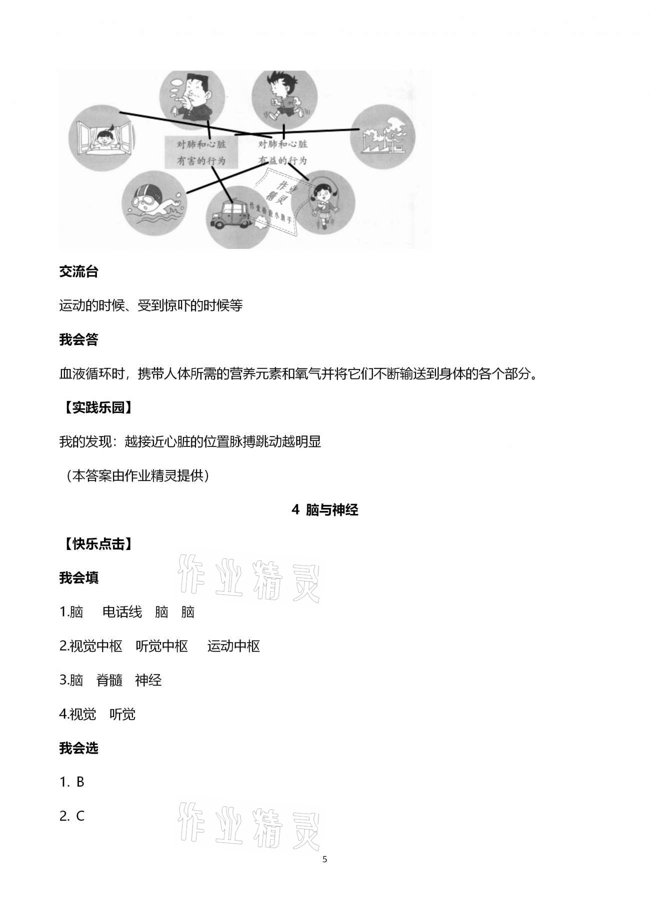 2021年新課堂同步學習與探究五年級科學下冊青島版金鄉(xiāng)專版 第5頁