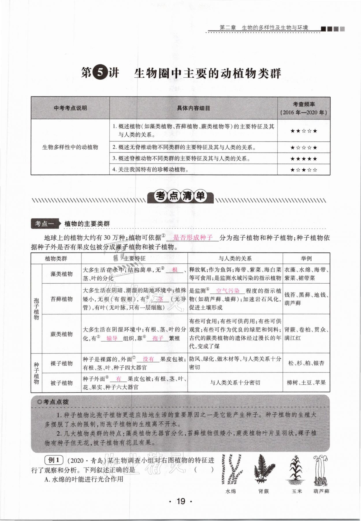 2021年中考新評價生物 第19頁