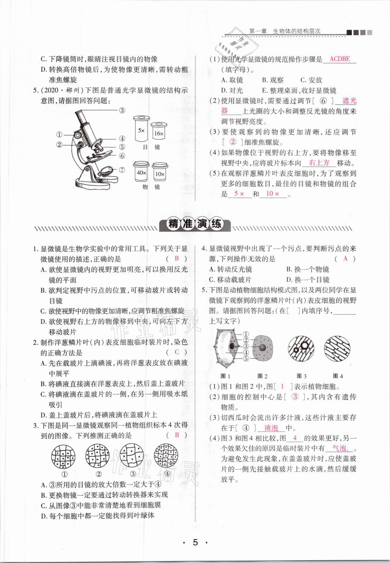 2021年中考新評價生物 第5頁