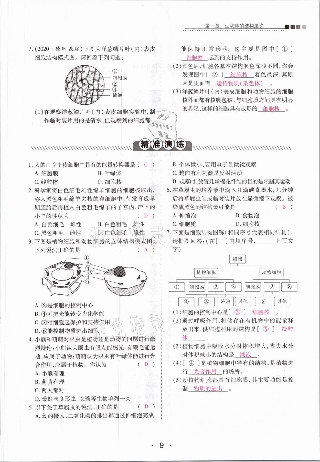 2021年中考新評價生物 第9頁