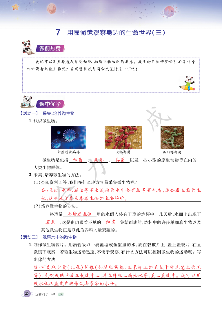 2021年玩轉(zhuǎn)科學六年級下冊教科版B 參考答案第19頁