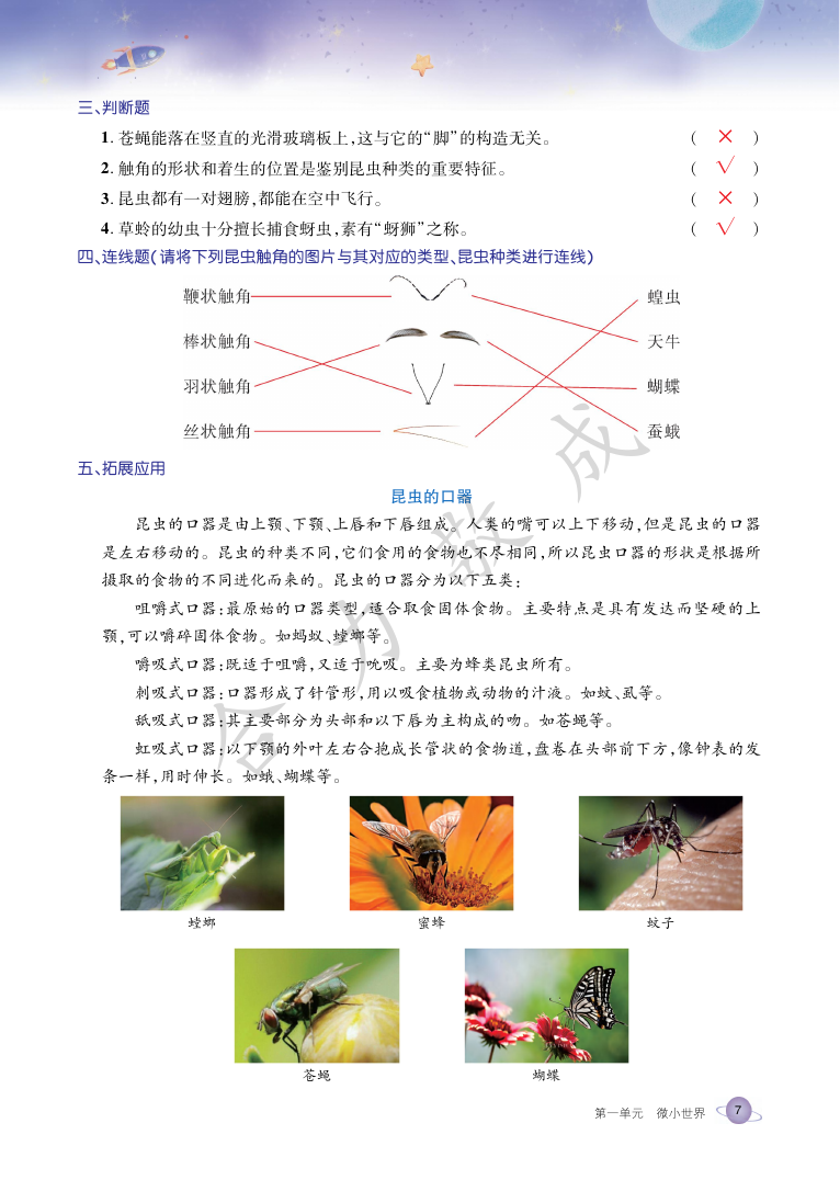 2021年玩轉(zhuǎn)科學六年級下冊教科版B 參考答案第6頁