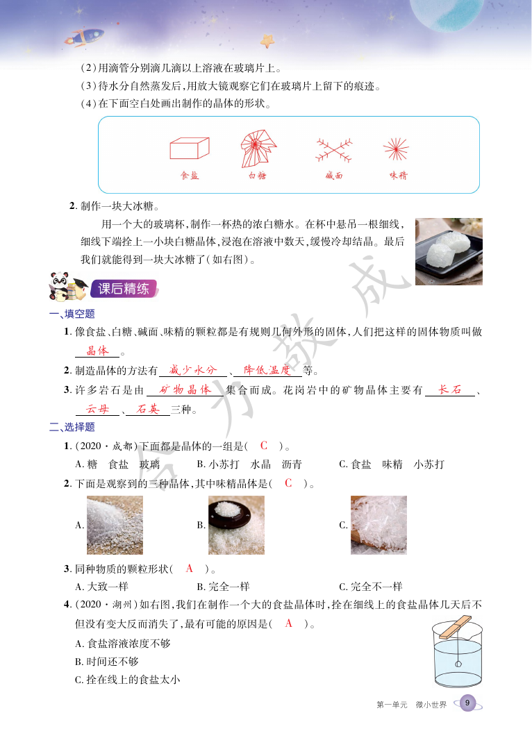 2021年玩轉科學六年級下冊教科版B 參考答案第8頁