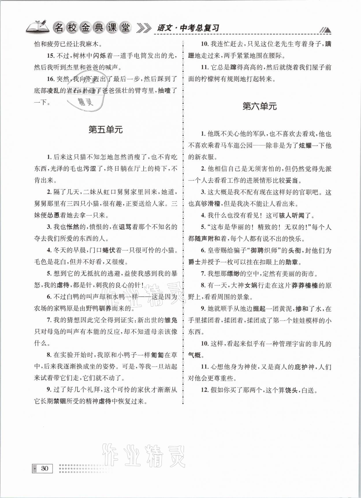 2021年名校金典课堂中考总复习语文成都专版 参考答案第30页