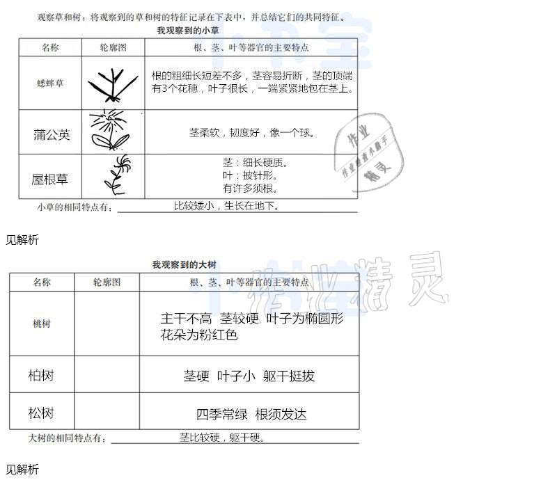 2021年同步實踐評價課程基礎(chǔ)訓(xùn)練三年級科學(xué)下冊冀人版 參考答案第3頁