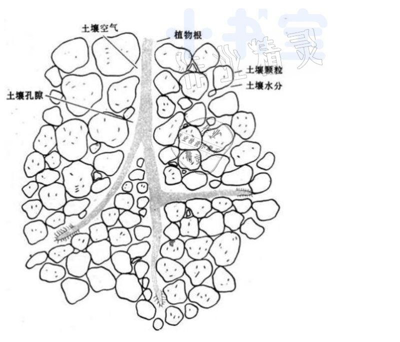 2021年同步實(shí)踐評(píng)價(jià)課程基礎(chǔ)訓(xùn)練四年級(jí)科學(xué)下冊(cè)冀人版 參考答案第3頁