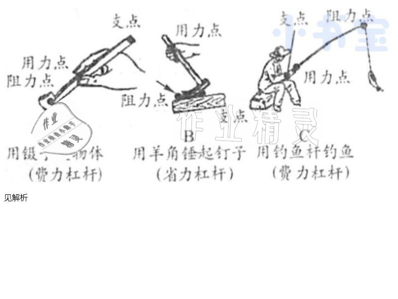 2021年同步實(shí)踐評(píng)價(jià)課程基礎(chǔ)訓(xùn)練五年級(jí)科學(xué)下冊(cè)冀人版 參考答案第5頁(yè)