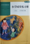 2021年小學(xué)同步練習(xí)冊(cè)六年級(jí)語文下冊(cè)人教版山東專版人民教育出版社