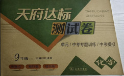 2021年天府達標測試卷九年級化學下冊