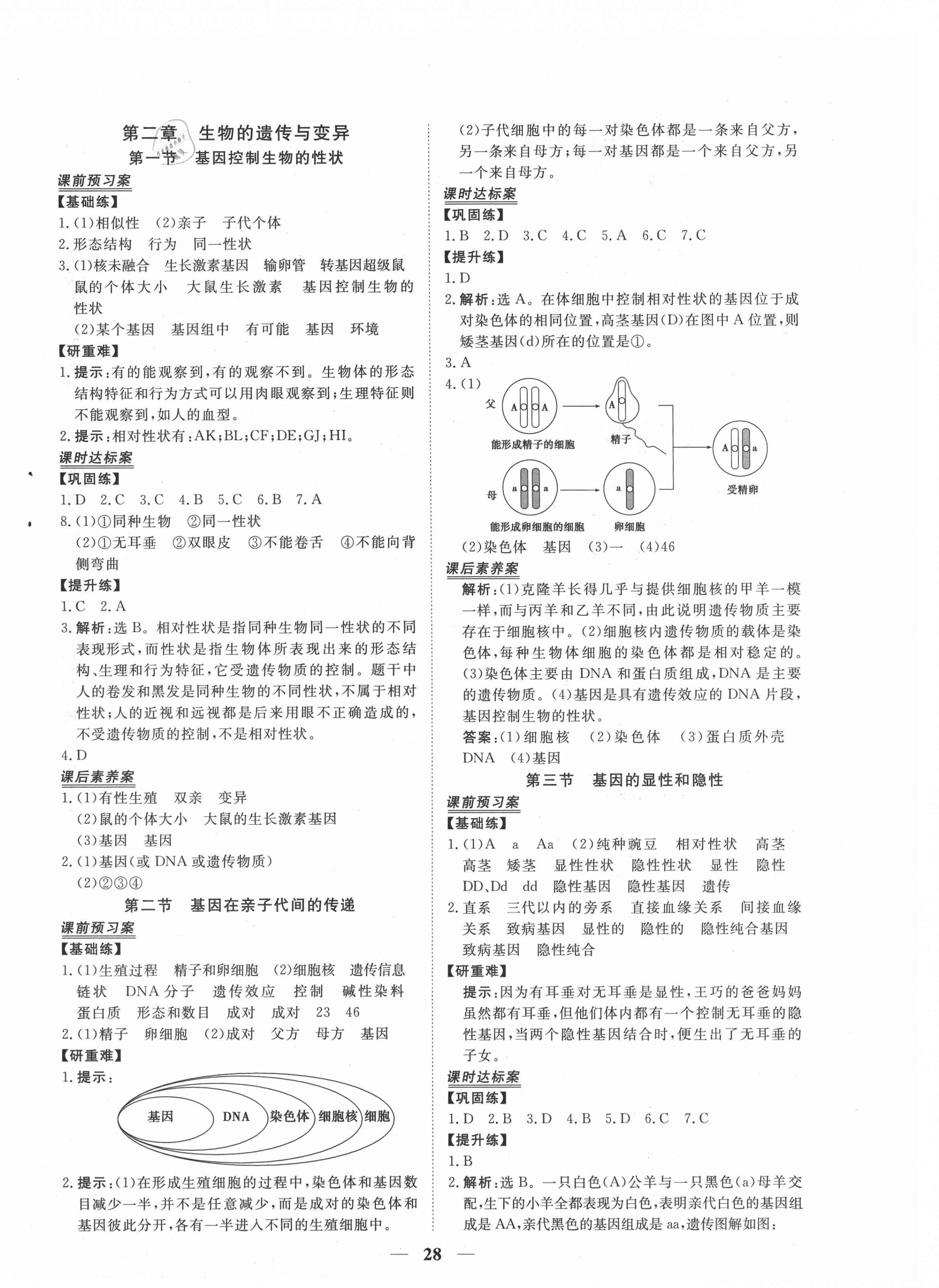 2021年新坐标同步练习八年级生物下册人教版青海专用 第4页