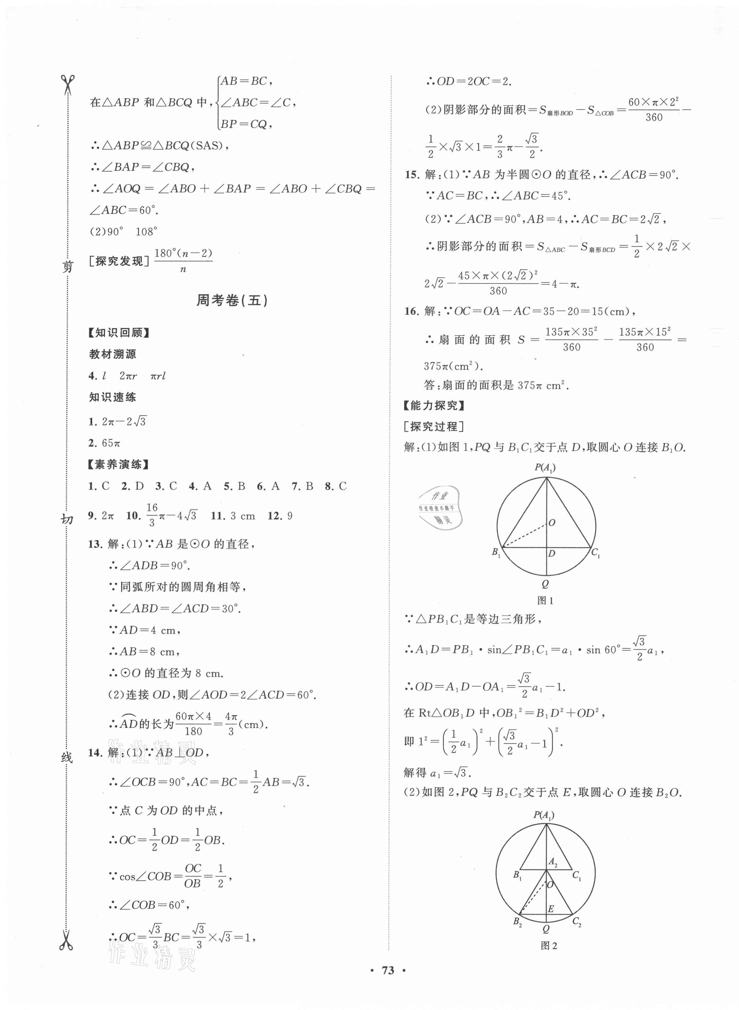 2021年初中同步練習(xí)冊分層卷九年級數(shù)學(xué)下冊魯教版54制 第5頁