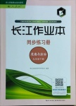 2021年長江作業(yè)本同步練習冊九年級道德與法治下冊人教版