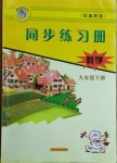 2021年同步练习册九年级数学下册冀教版河北教育出版社