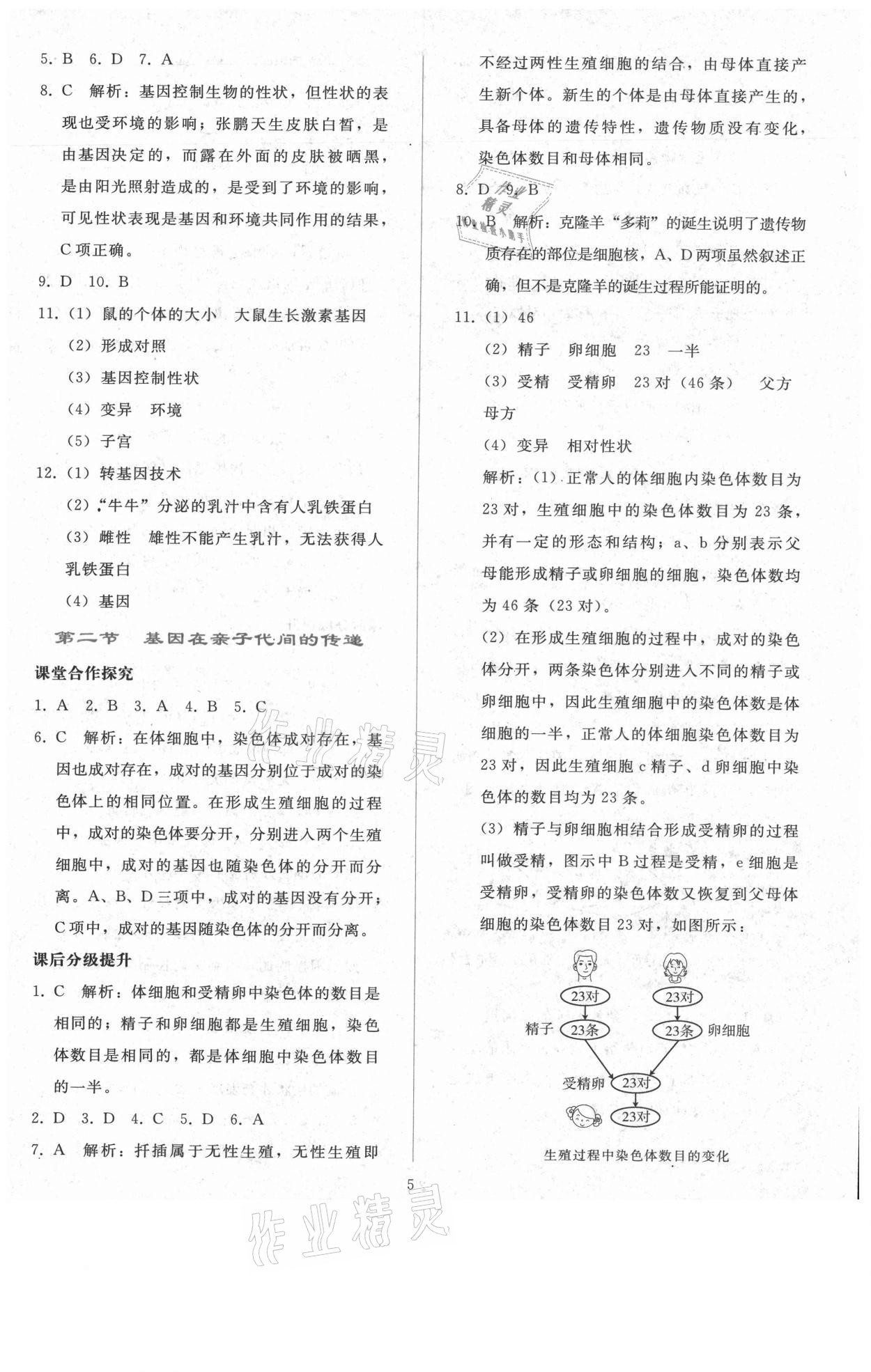 2021年同步轻松练习八年级生物学下册人教版 参考答案第4页