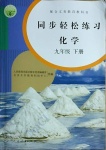 2021年同步輕松練習(xí)九年級(jí)化學(xué)下冊(cè)人教版