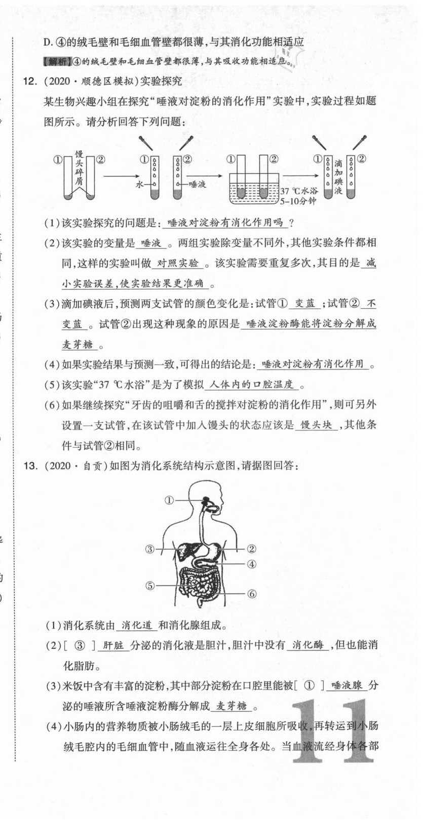 2021年中考命題大解密生物陽光出版社 參考答案第28頁