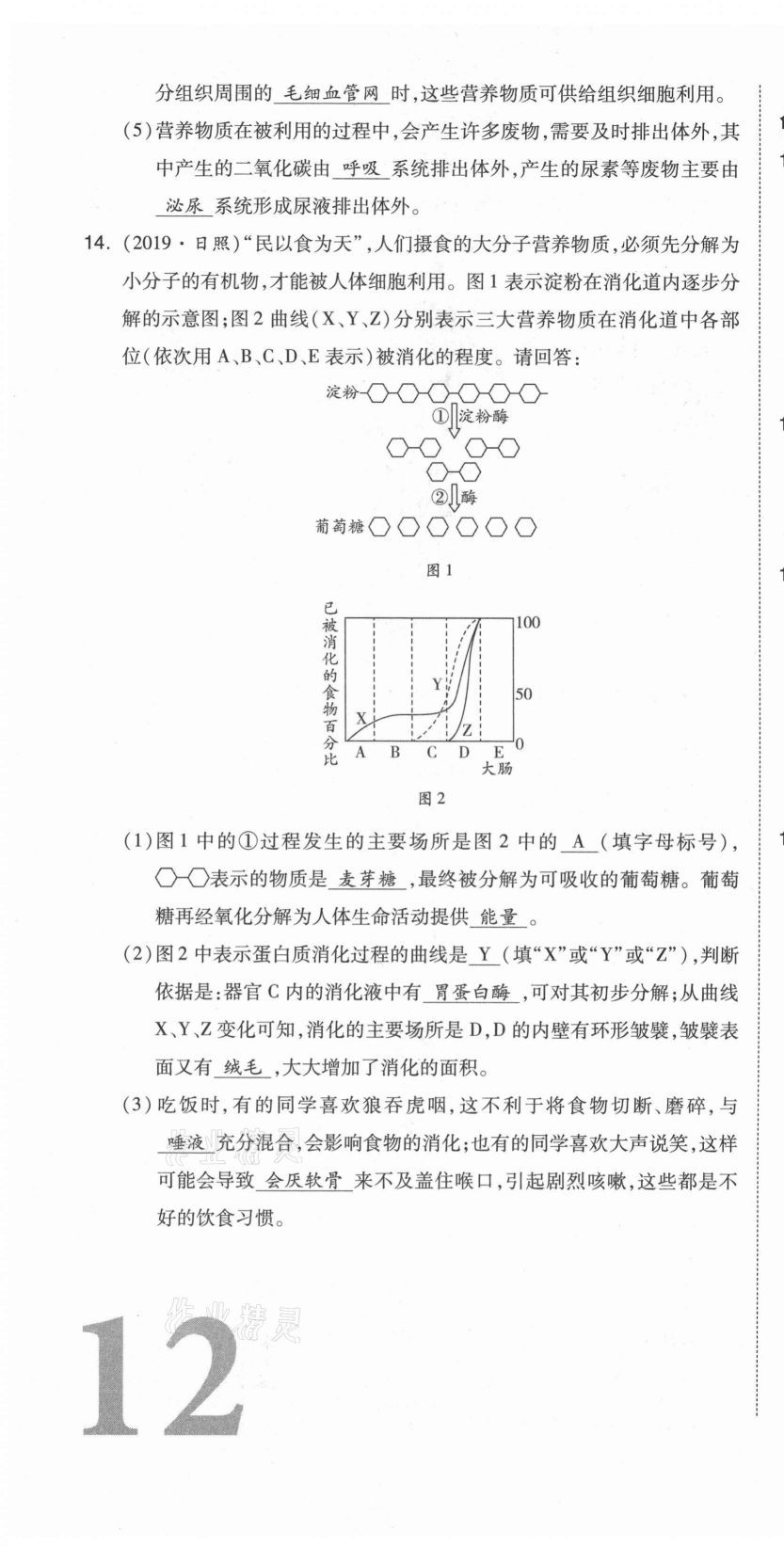 2021年中考命題大解密生物陽光出版社 參考答案第29頁