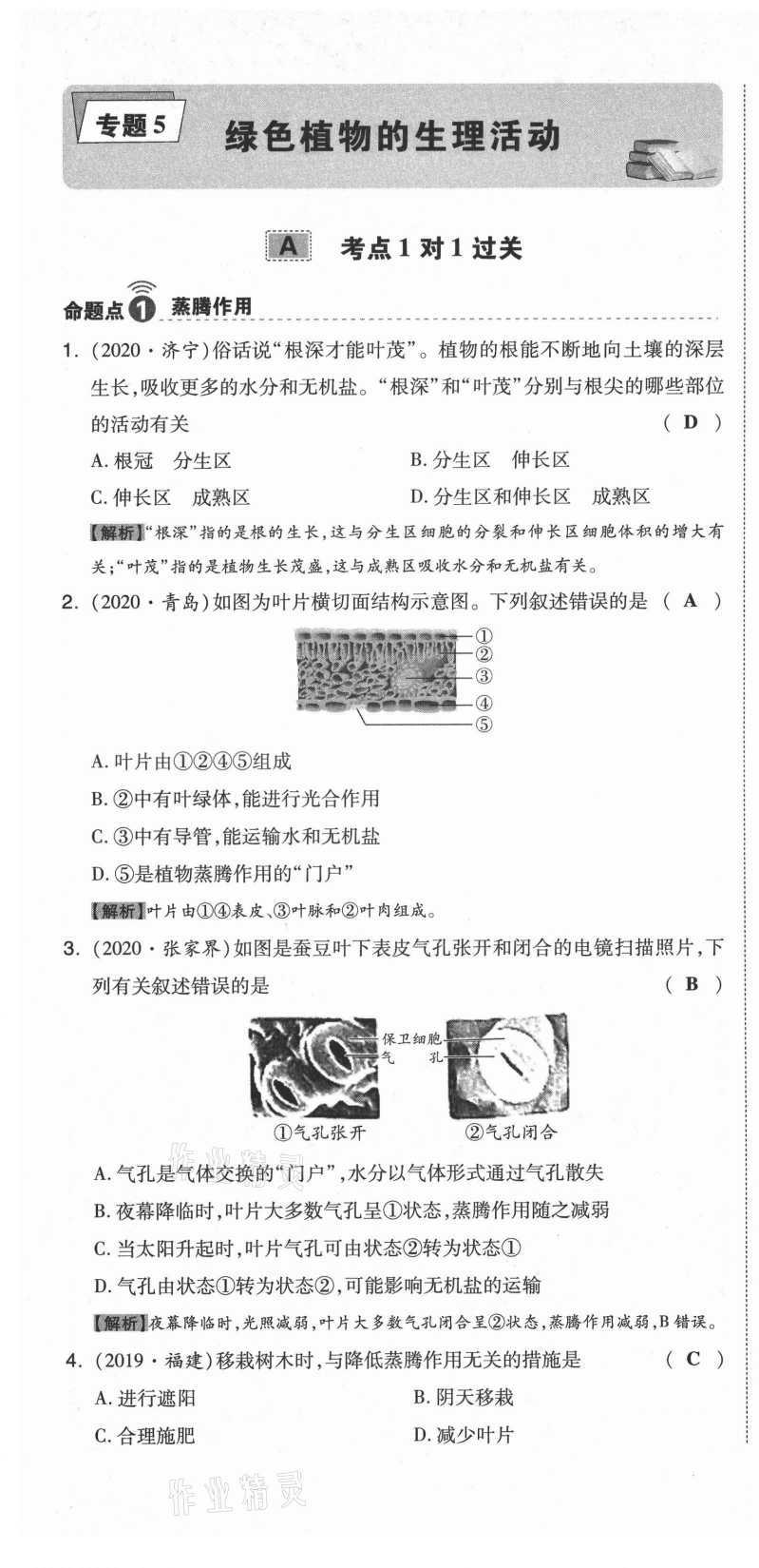 2021年中考命題大解密生物陽光出版社 參考答案第21頁