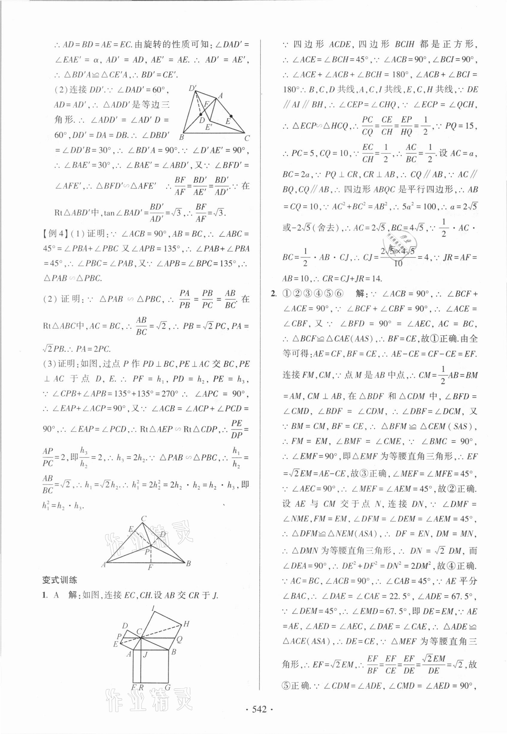 2021年中考總復習學習手冊數學浙江科學技術出版社 參考答案第50頁