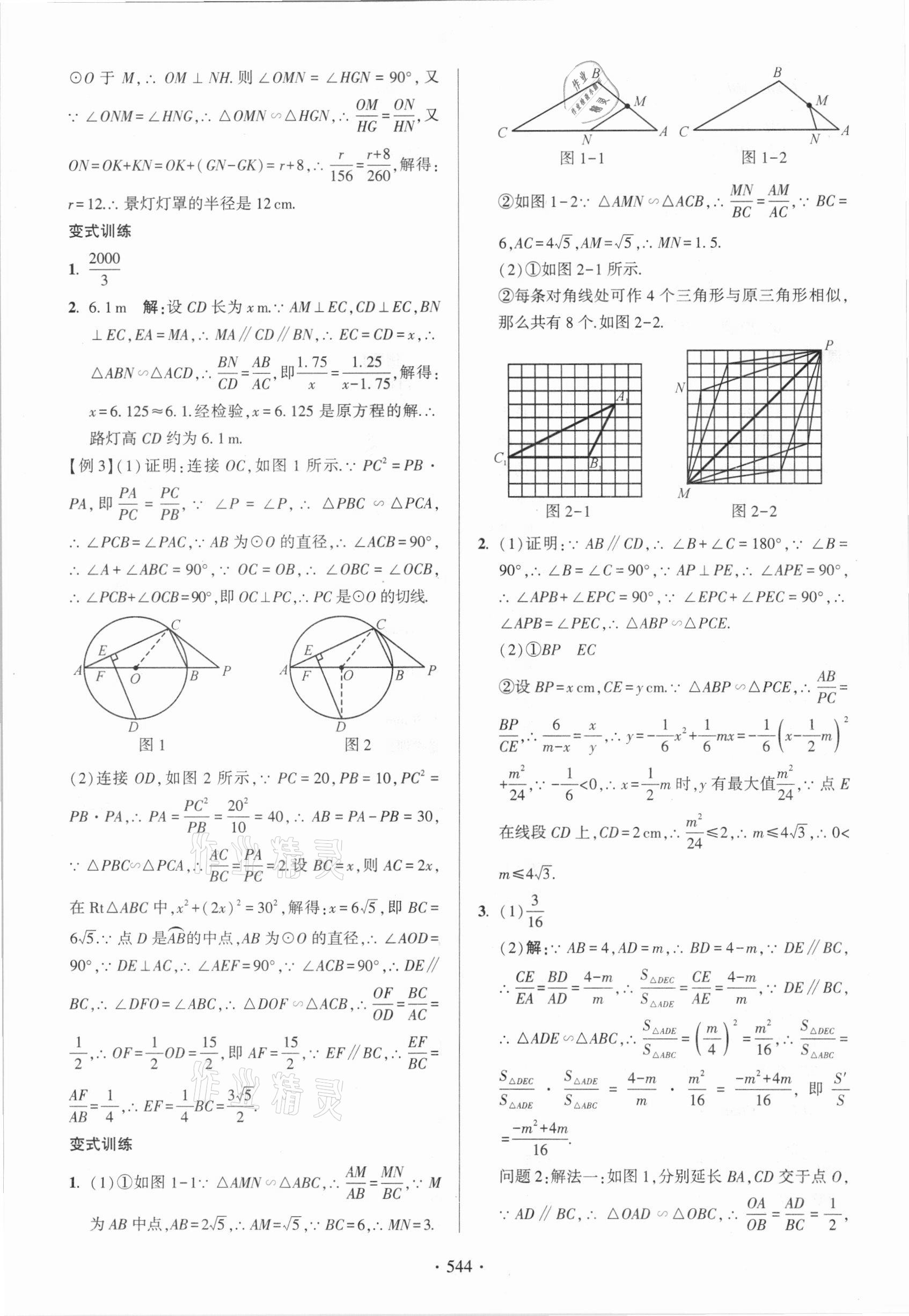 2021年中考總復習學習手冊數學浙江科學技術出版社 參考答案第52頁