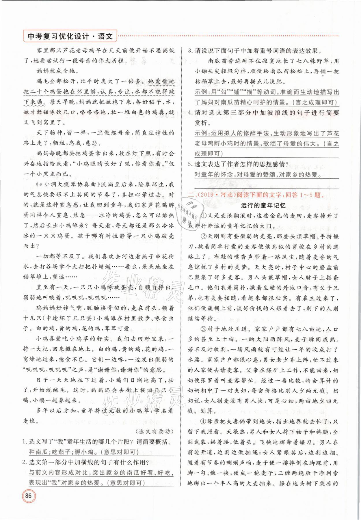 2021年冀考金榜中考總復(fù)習(xí)優(yōu)化設(shè)計(jì)語(yǔ)文 參考答案第86頁(yè)