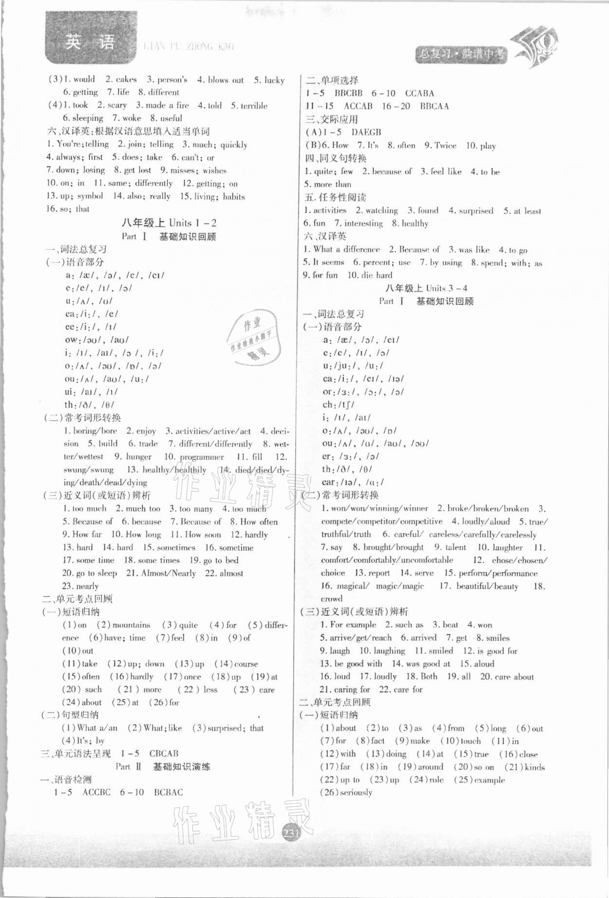 2021年臉譜中考總復(fù)習(xí)英語&nbsp;第3頁