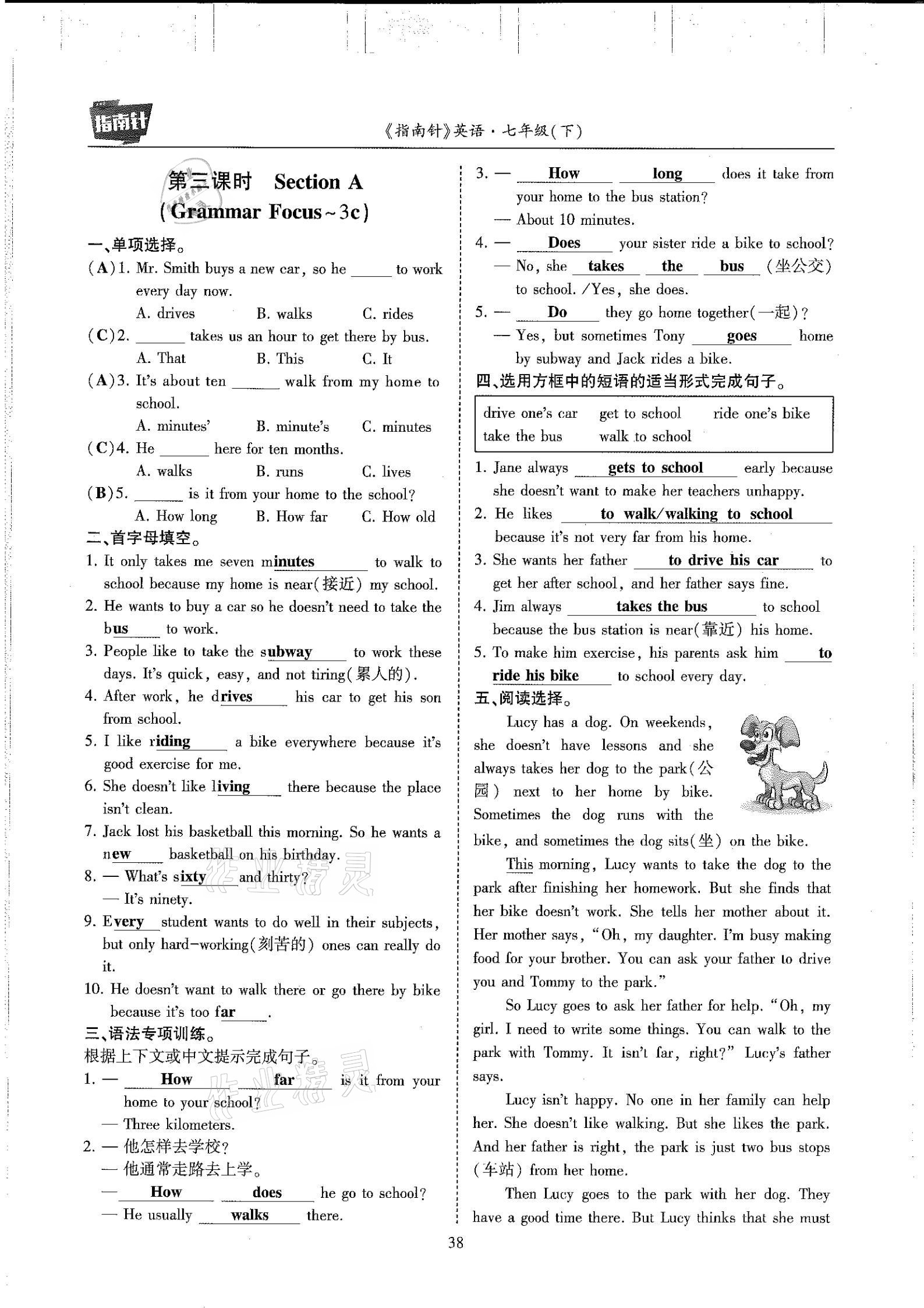 2021年指南针高分必备七年级英语下册人教版 参考答案第38页